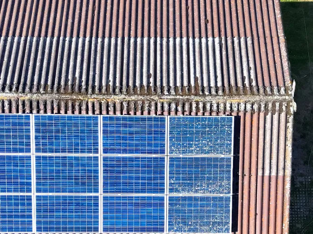 Luftaufnahme eines vermoosten Wellplattendachs mit verschmutzten Solarmodulen