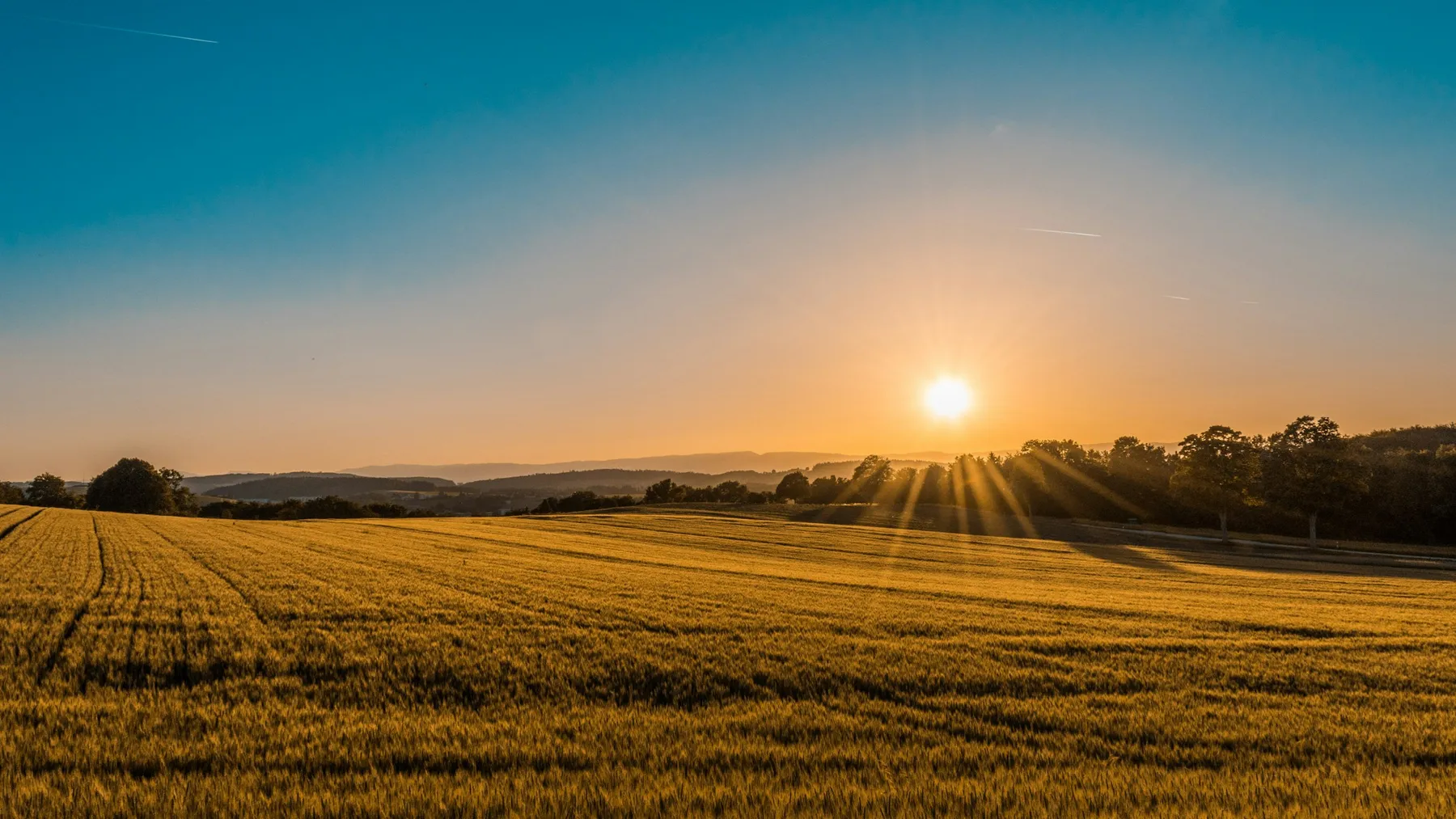 Aerial view of agricultural fields in Lower Saxony at dawn — drone precision mapping in progress